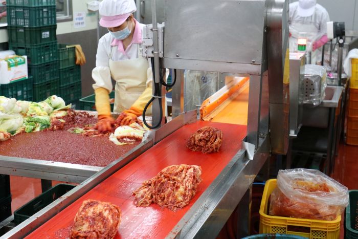 김치 생산포장작업(농업회사법인 새벽팜)